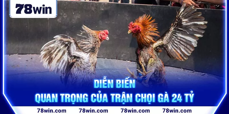 Diễn biến quan trọng của trận chọi gà 24 tỷ