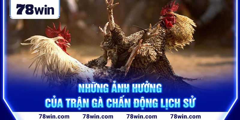 Những ảnh hưởng của trận gà chấn động lịch sử 