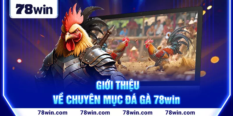 Giới thiệu về chuyên mục đá gà 78win