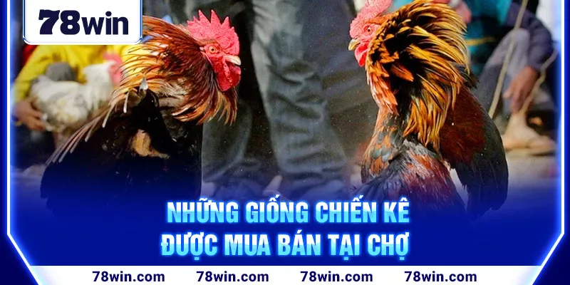 3-nhung-giong-chien-ke-duoc-mua-ban-tai-cho