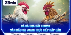 1-da-ga-cua-sat-thomo—san-dau-ga-78win-truc-tiep-hap-dan