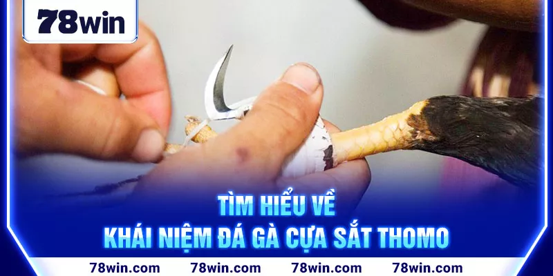 2-tim-hieu-ve-khai-niem-da-ga-cua-sat-thomo