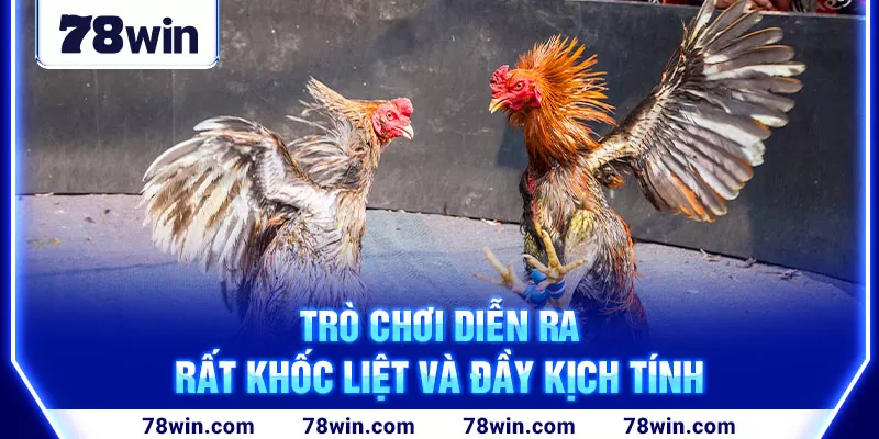 2-tro-choi-dien-ra-rat-khoc-liet-va-day-kich-tinh