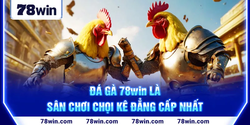 2-da-ga-78win-la-san-choi-choi-ke-dang-cap-nhat