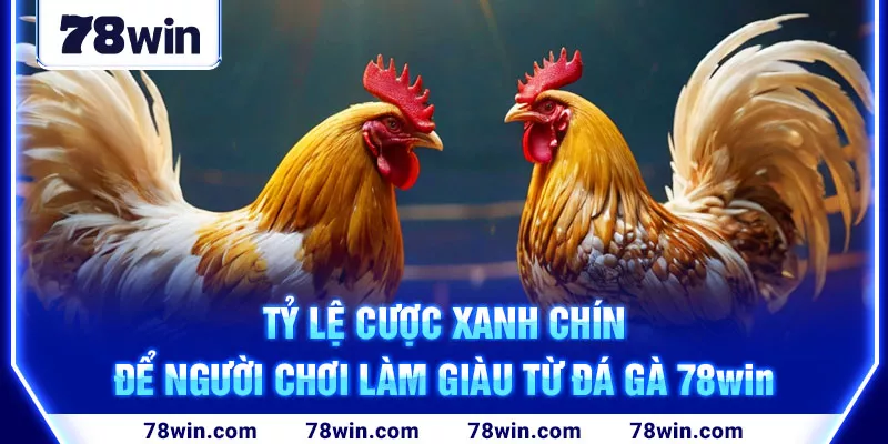 3-ty-le-cuoc-xanh-chin-de-nguoi-choi-lam-giau-tu-da-ga-78win