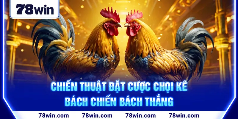 4-chien-thuat-dat-cuoc-choi-ke-bach-chien-bach-thang