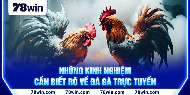 5-nhung-kinh-nghiem-can-biet-ro-ve-da-ga-truc-tuyen